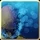 Is drown