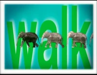 Song.Walk.jpg