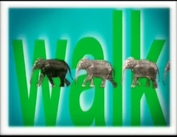 Song.Walk