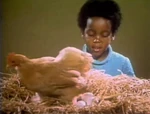 Song3-eggs