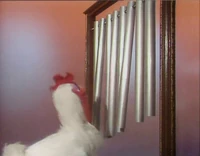 TMS.301.Chicken.jpg