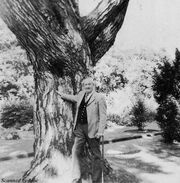 Tolkien (1973)