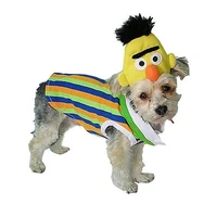 NewYorkDog.Bert