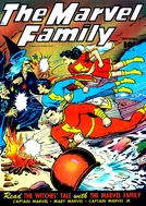 Marvel Family 4