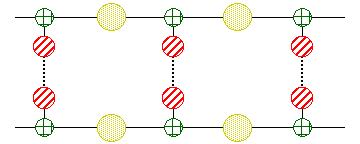 Nucleic acid