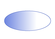 Bicoid gradient