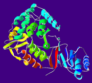 PhenylalanineHydroxylase-1PHZ
