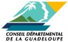 Logo 971