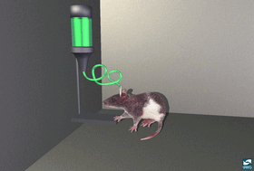 Ratselfinject