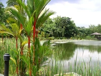 Singapura