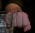 Sand pea.jpg