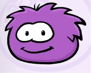 Purple Puffle