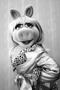 Piggypose