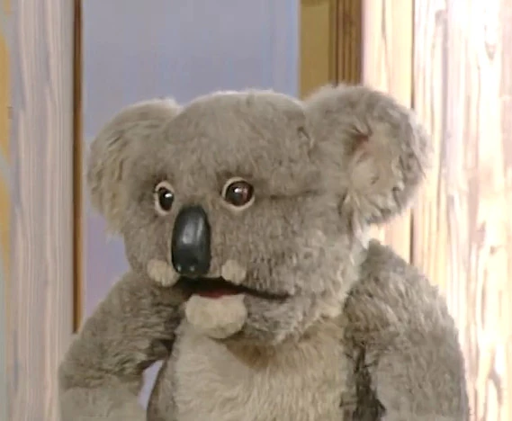 Kevinkoala.jpg