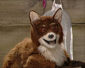 Virginiaredfox