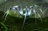 RazVen