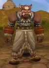 Farseercorhuk