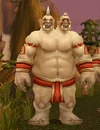 Boulderfistmystic
