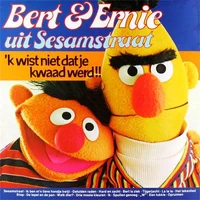 'k Wist Niet Dat Je Kwaad Werd!