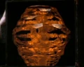 Embryonic lifeform crystal.jpg