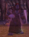 Kil'sorrowcultist