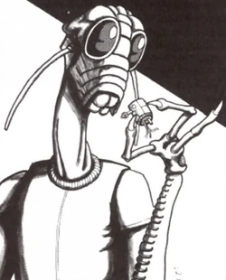 Garginoolaara.jpg