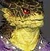 Iksar (Character Race) Male.jpg