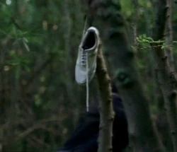 Lost - whiteshoe.jpg