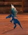 Azure whelp.jpg