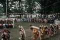 Grand Entry Omaha.jpg