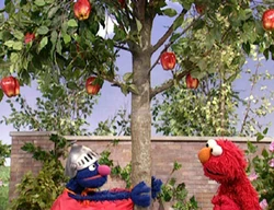 SGappletree