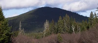 Mount Carleton small