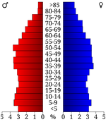 USA McNairy County, Tennessee.csv age pyramid