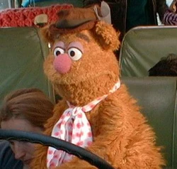 MFS-Fozzie