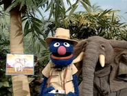 Junglephoto