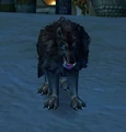 Dog.jpg