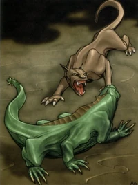NashtahVsNek-AA