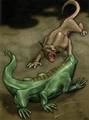 NashtahVsNek-AA.jpg