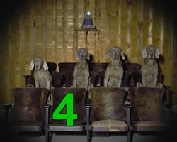 Wegman.4