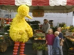WYWH.Farm1
