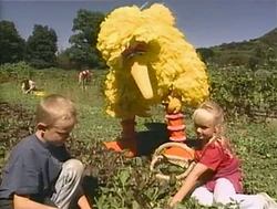 WYWH.Farm2