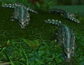ZulianCrocolisk.jpg