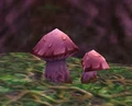 Hyacinth Mushroom.jpg