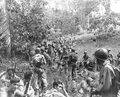 Guadalcanal1.jpg