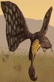 Corellianbutterfly.png