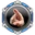 IO Mocking Beratement