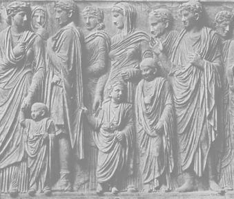 Populus1.jpg