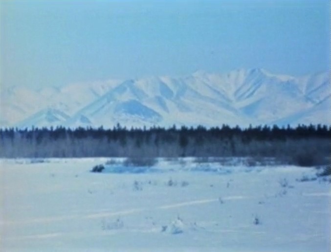 Song.ilikealaska