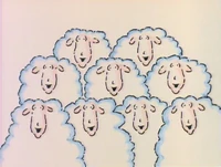 NumberGuy.9sheep
