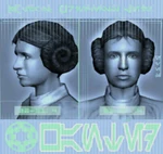 Leiawanted